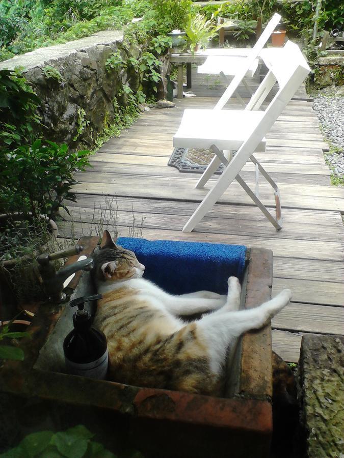 Jiufen Aromatherapy B&B Luaran gambar